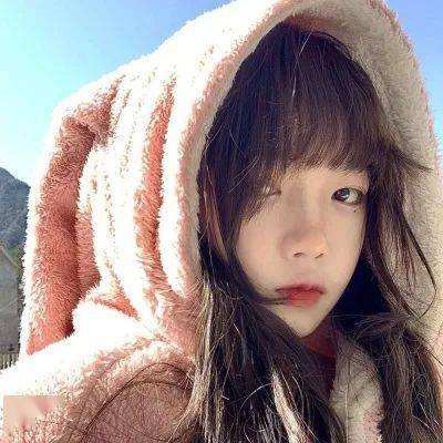 三张牌下载金花免费