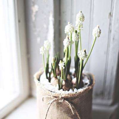 澳门一码一肖一特一中下载手机版