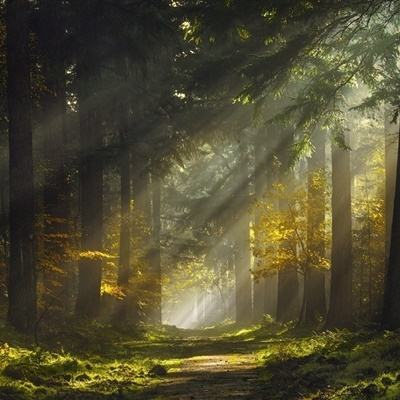 hg8868体育皇冠地址