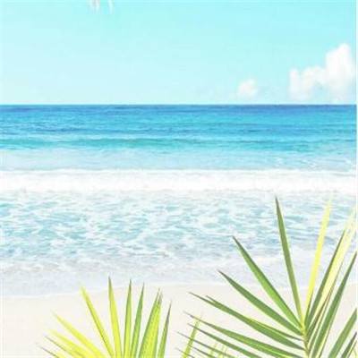 乐鱼app手机app下载