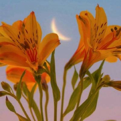 722cc彩票app下载