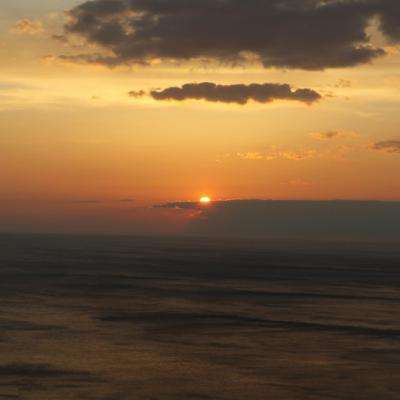 三张牌下载金花免费