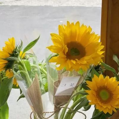 welcome新皇冠手机app下载